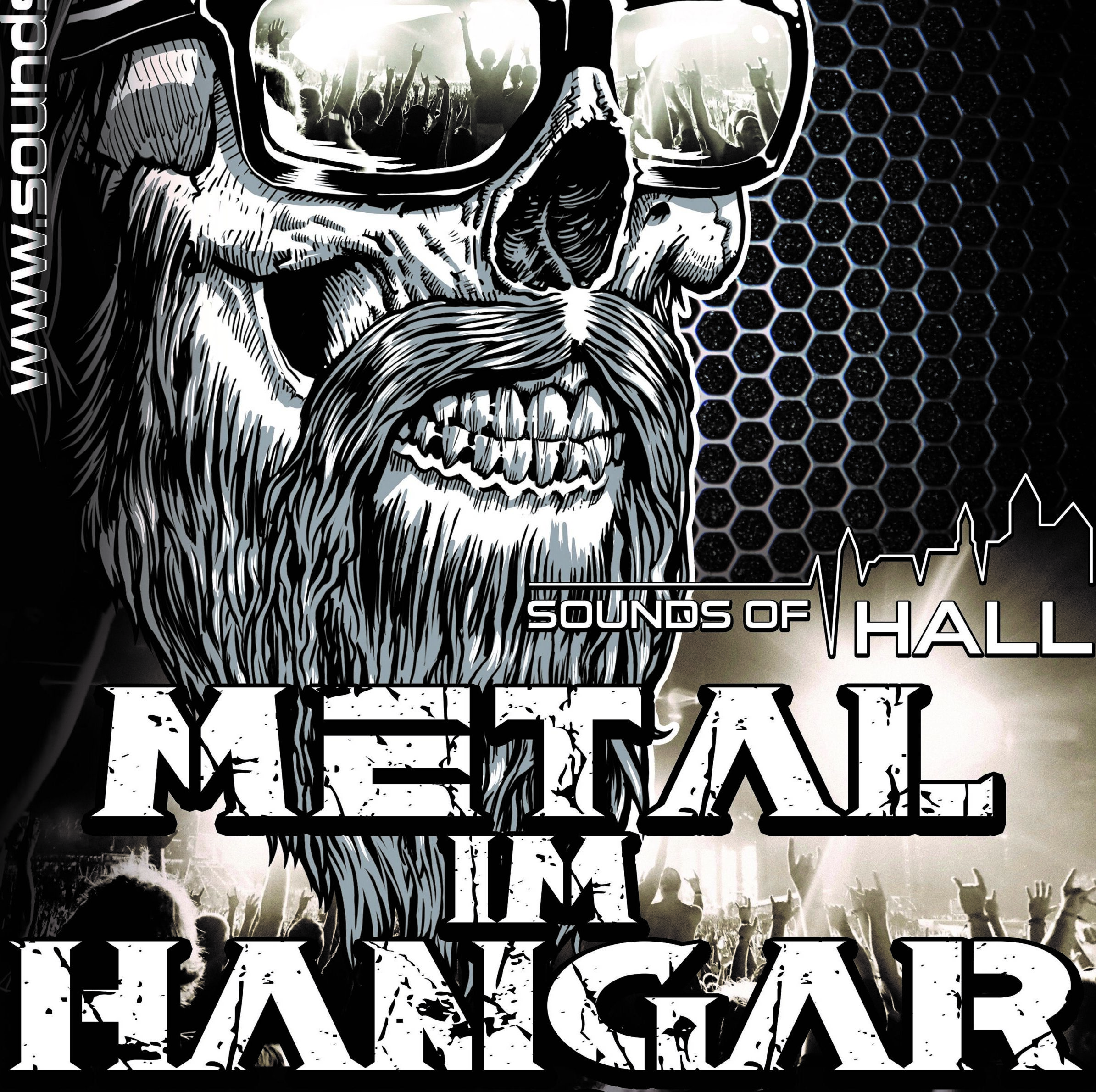 METAL IM HANGAR