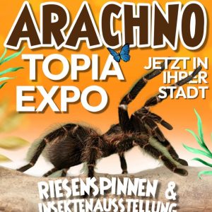 Arachnotopia – Riesenspinnen- und Insektenausstellung